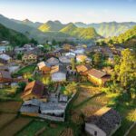 Lô lô chải