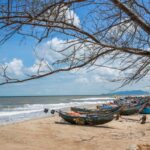 Toàn cảnh hồ tràm