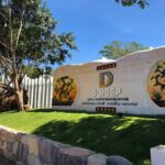 Doi dep tea resort 1